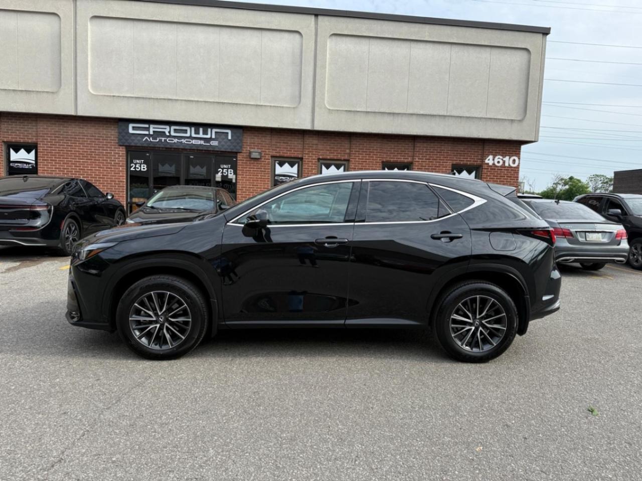 2025 Lexus NX NX 250 AWD Photo