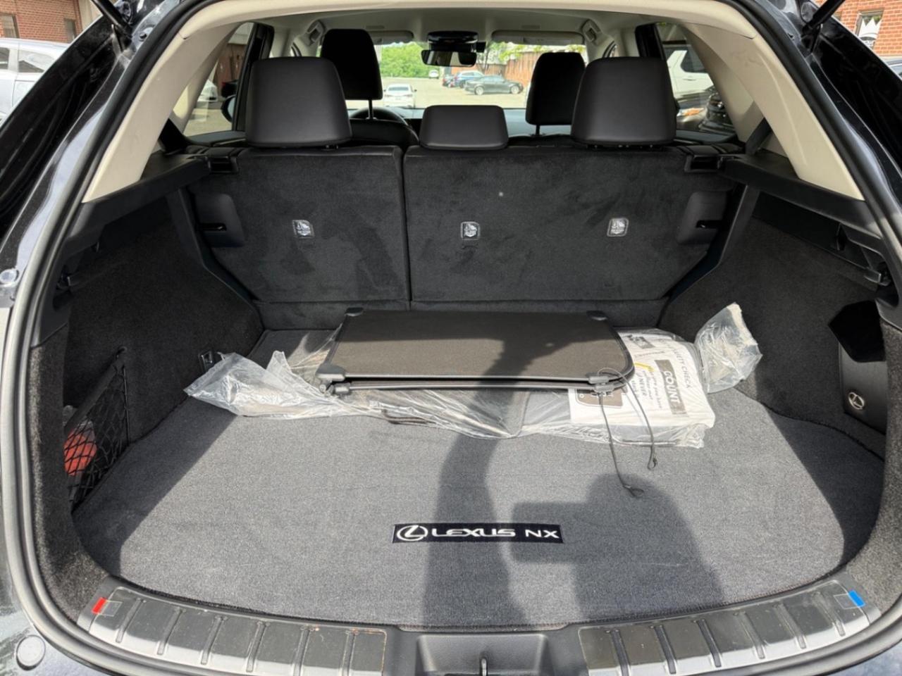 2025 Lexus NX NX 250 AWD Photo