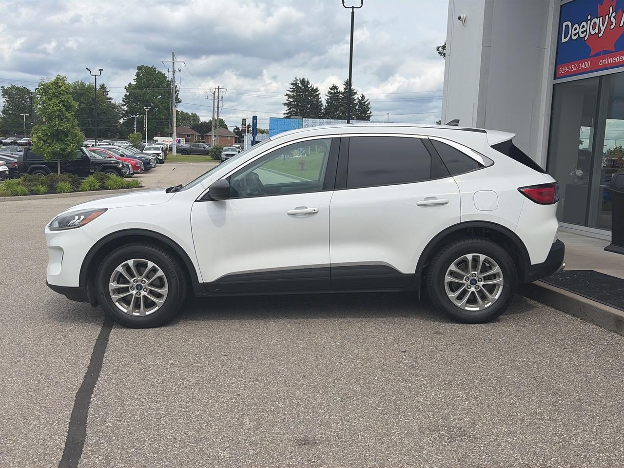 2022 Ford Escape SE AWD   Clean Carfax Photo