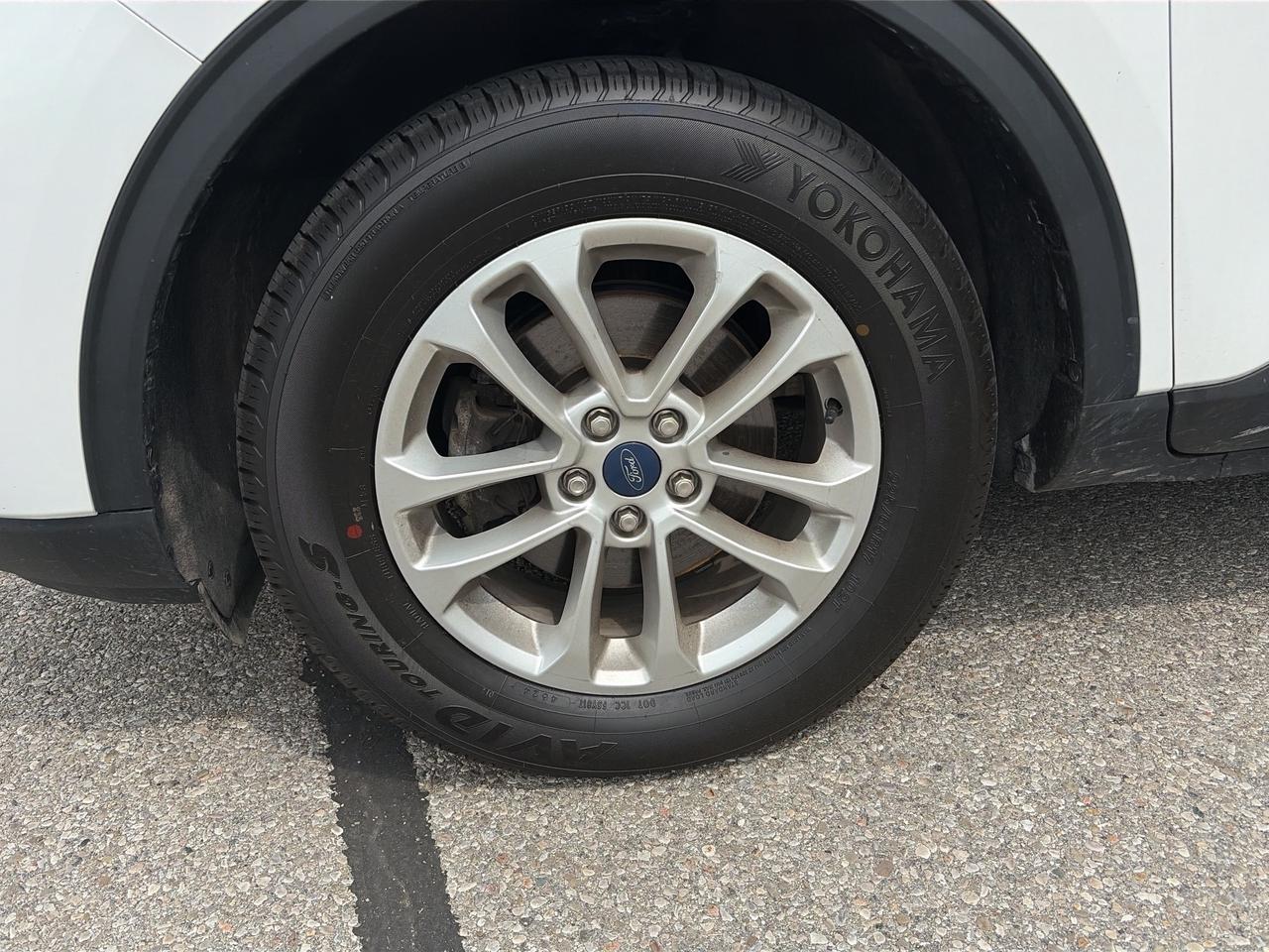 2022 Ford Escape SE AWD   Clean Carfax Photo