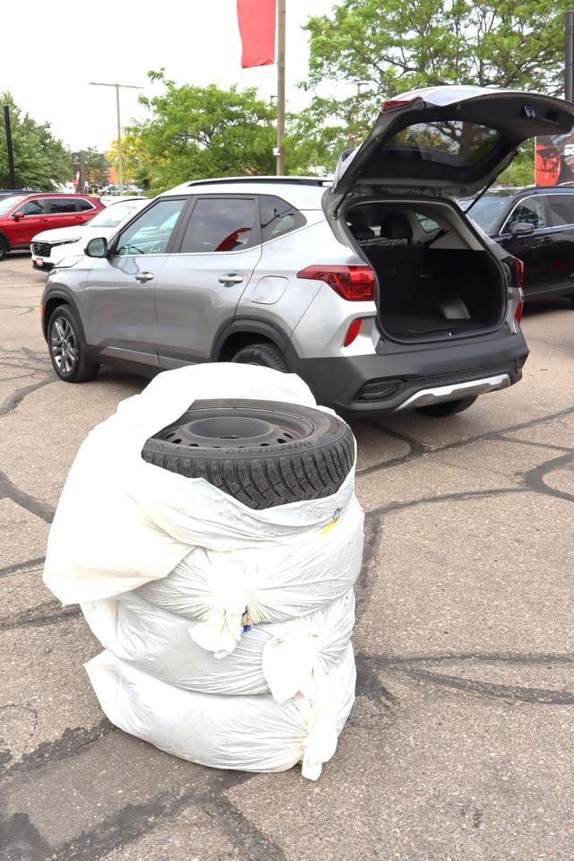 2023 Kia Seltos EX 4dr Front-Wheel Drive Photo
