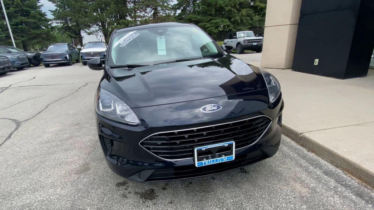 2021 Ford Escape SE Photo