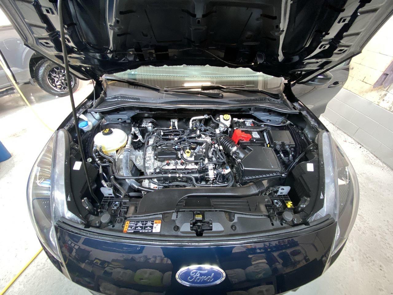 2021 Ford Escape SE Photo