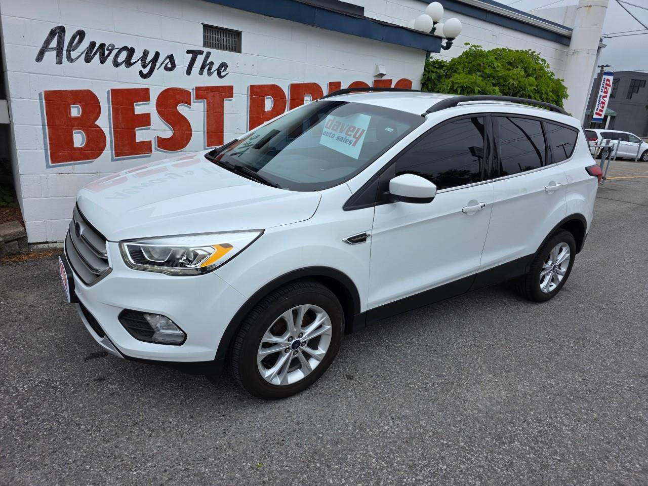 2019 Ford Escape SEL 4dr 4x4 Photo
