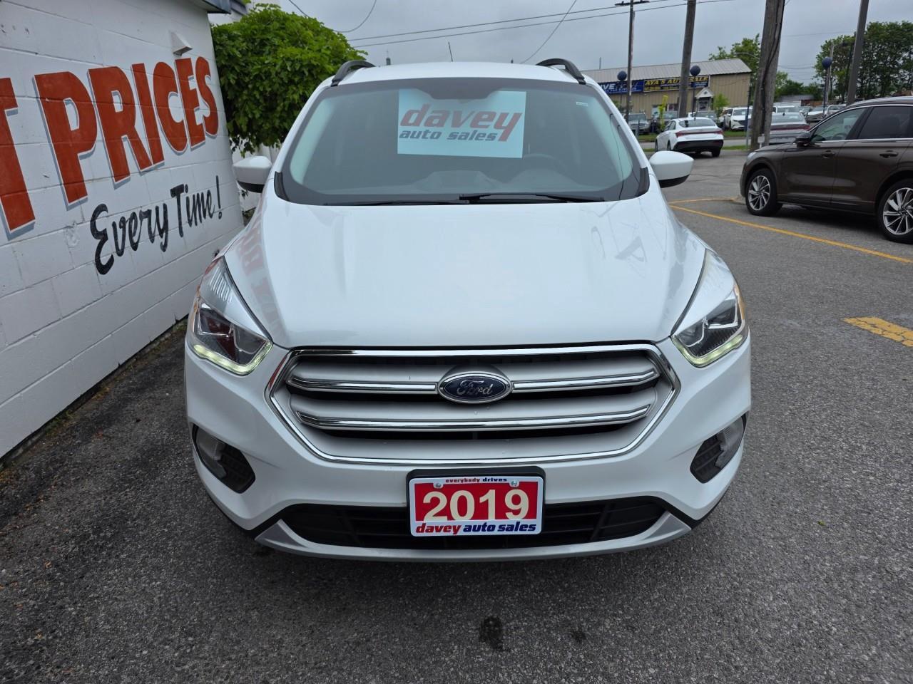 2019 Ford Escape SEL 4dr 4x4 Photo