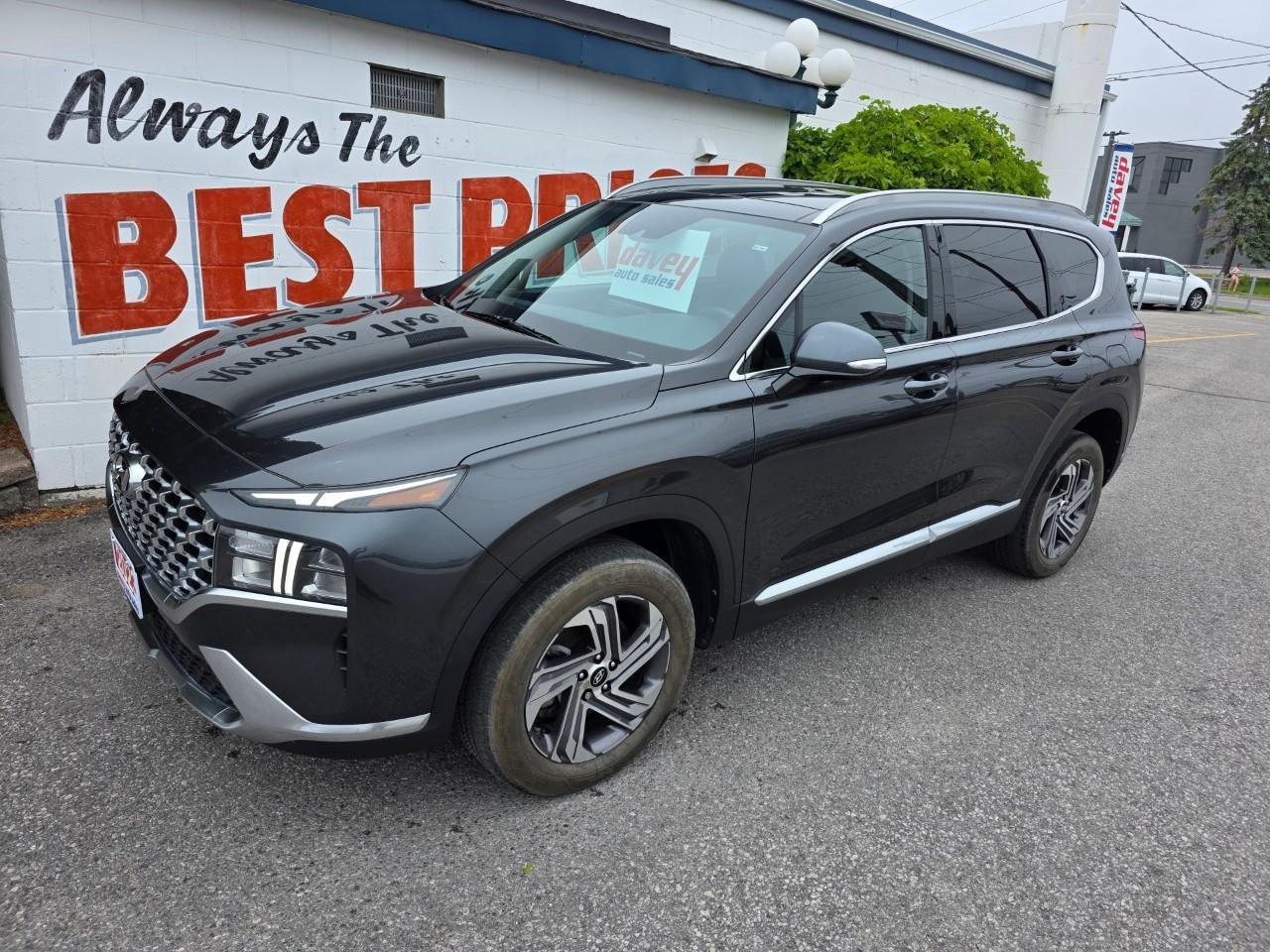 2023 Hyundai Santa Fe Preferred w/Trend Package 4dr All-Wheel Drive Photo3