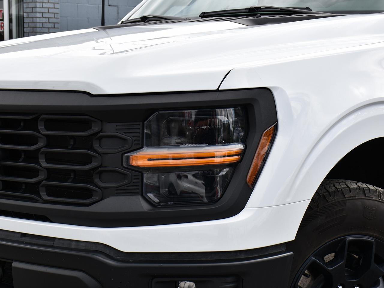 2024 Ford F-150 STX FX4 3.5L Crew 4x4   Nav   5 Pass Photo