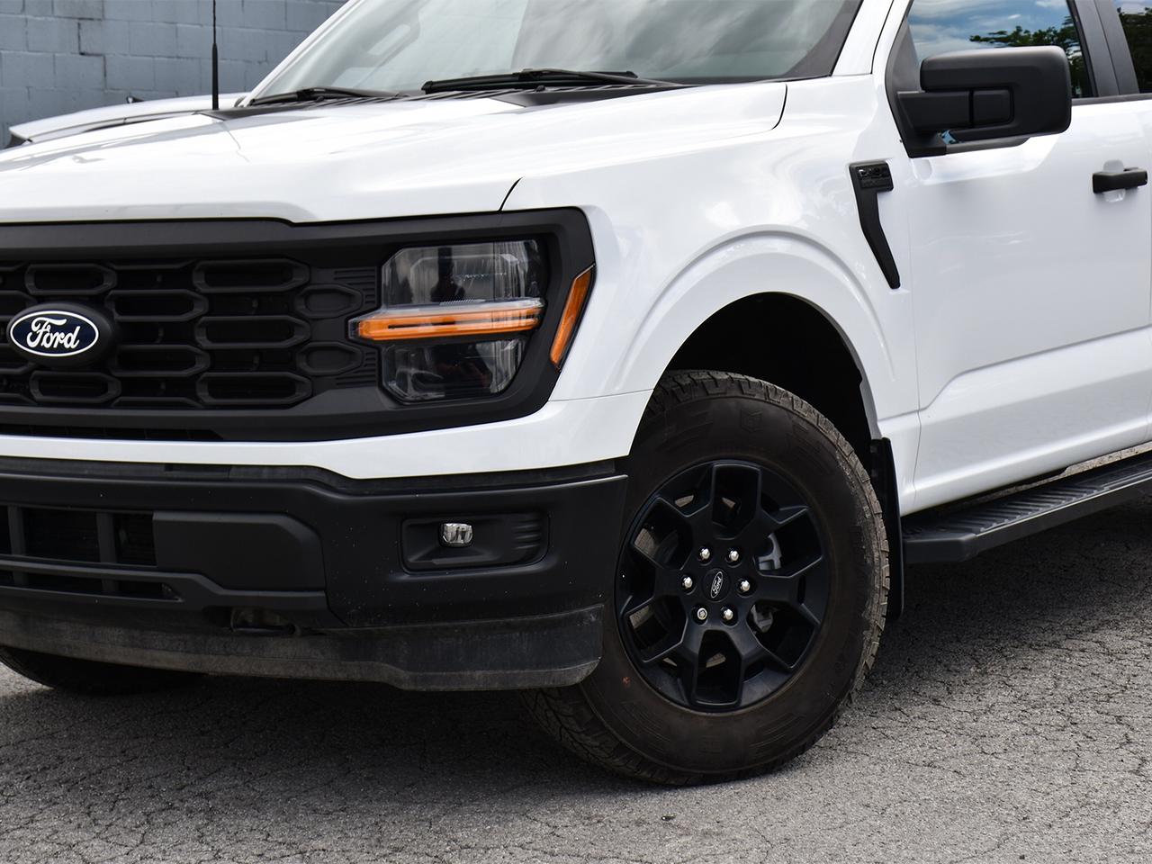 2024 Ford F-150 STX FX4 3.5L Crew 4x4   Nav   5 Pass Photo