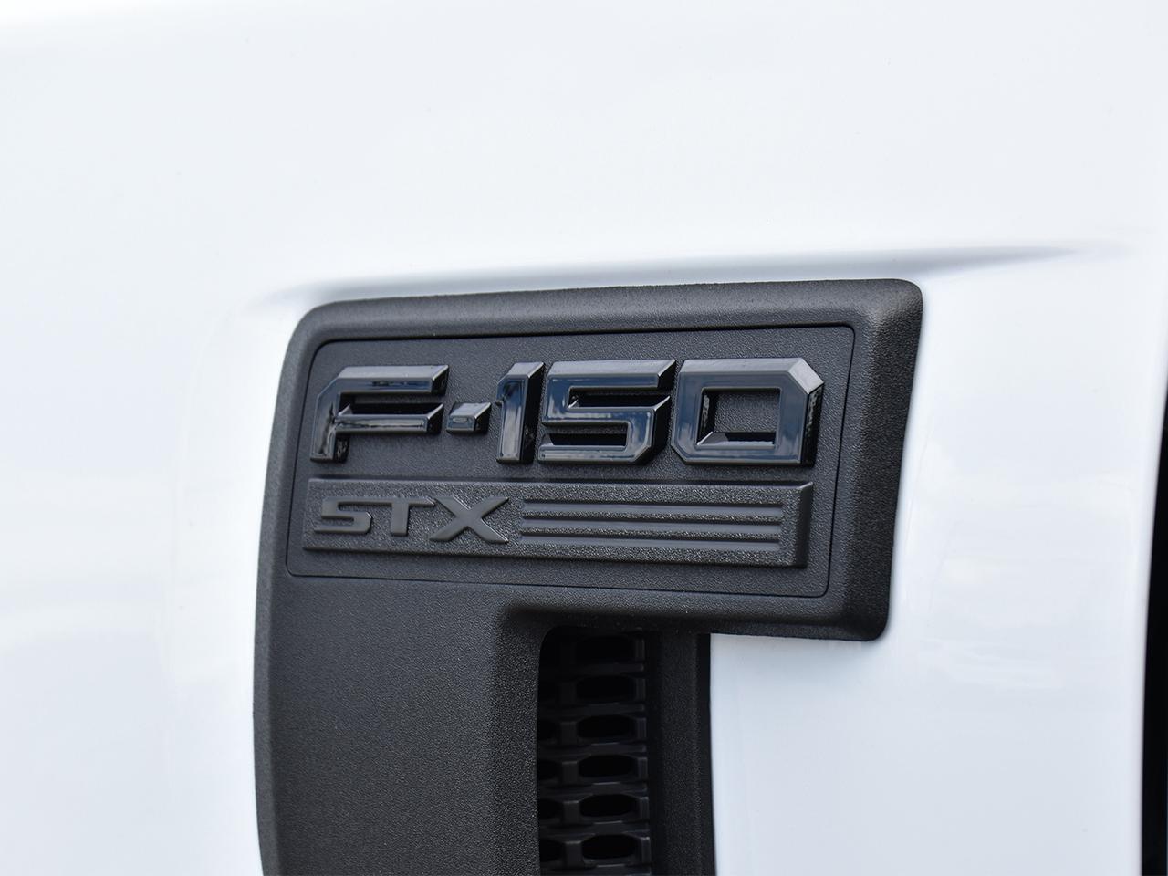 2024 Ford F-150 STX FX4 3.5L Crew 4x4   Nav   5 Pass Photo