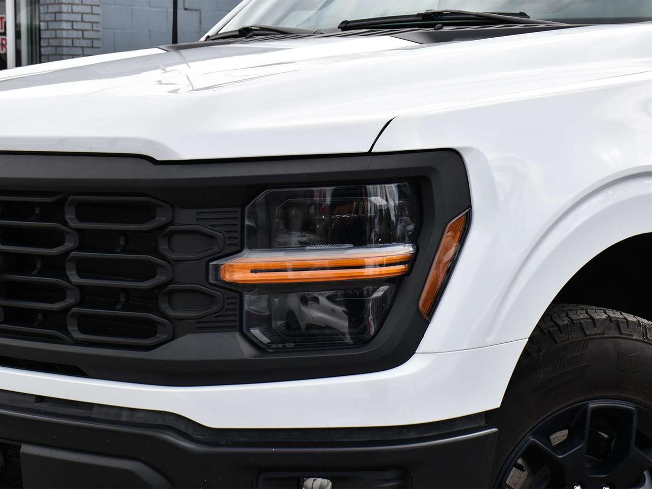 2024 Ford F-150 STX FX4 3.5L Crew 4x4   Nav   5 Pass Photo