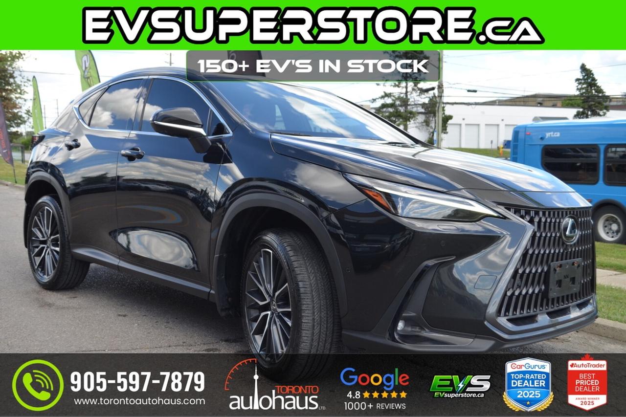 2022 Lexus NX 350h EXECUTIVE PKG I RED INTERIOR Photo3