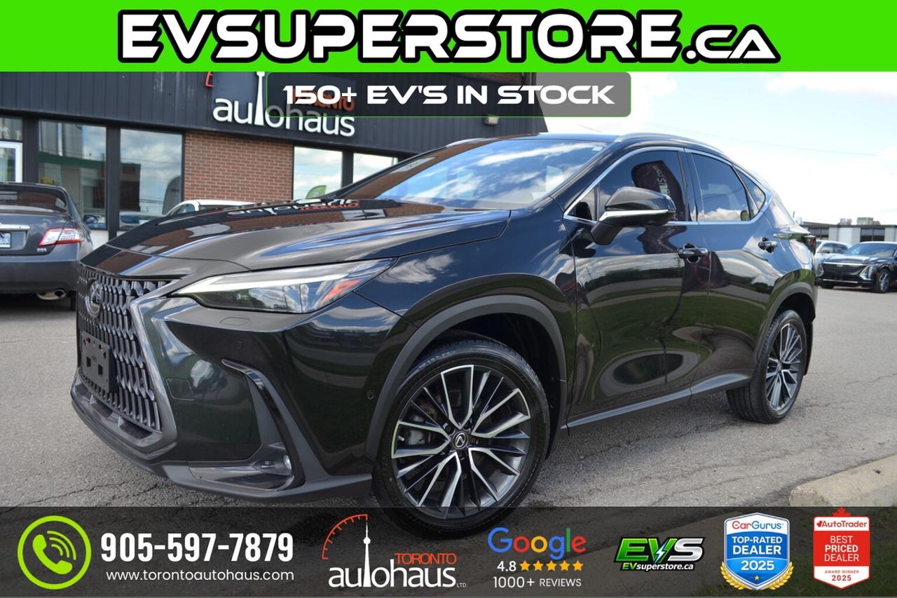 2022 Lexus NX 350h EXECUTIVE PKG I RED INTERIOR Photo0