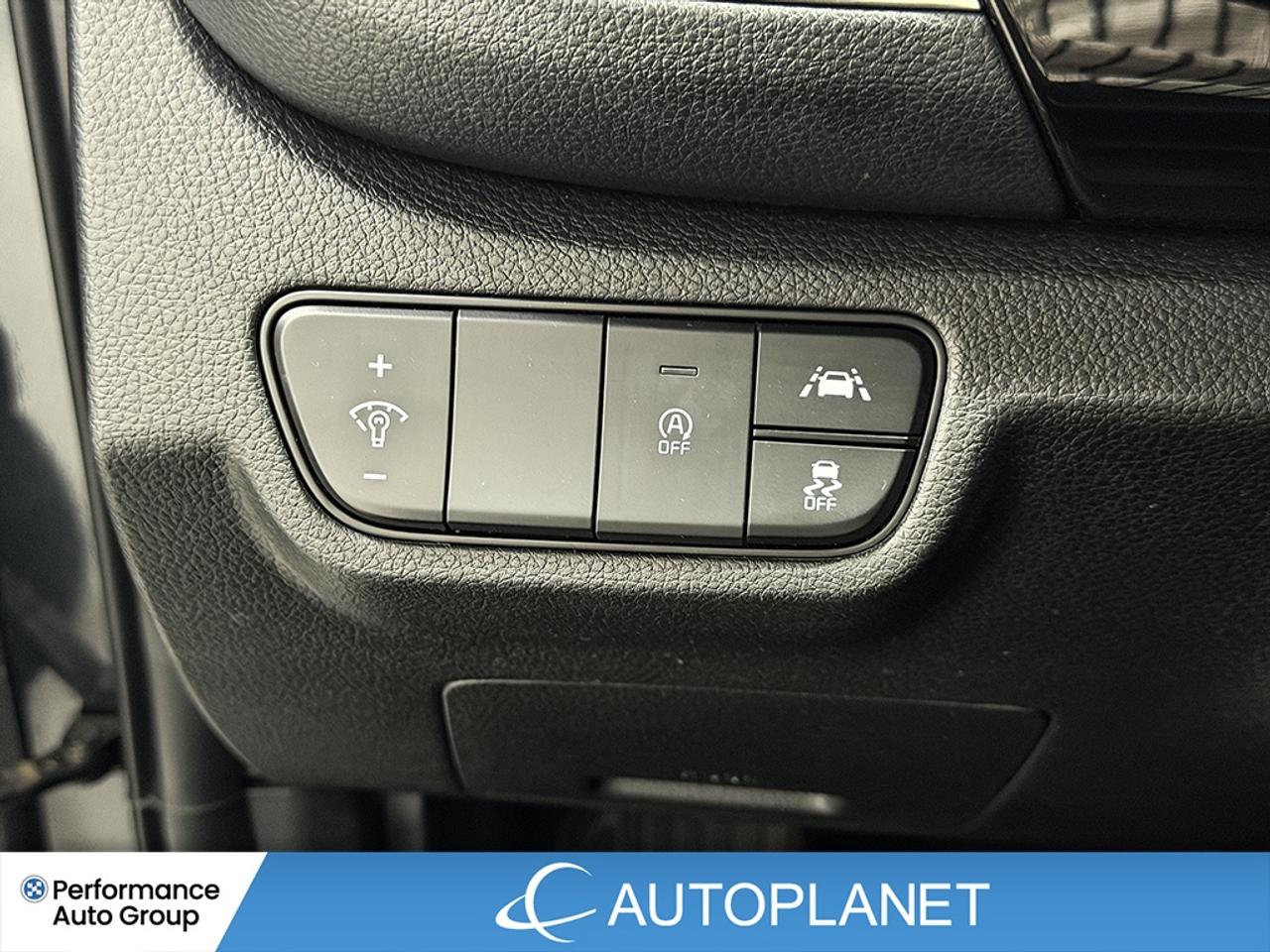 2023 Kia Seltos EX AWD, Back Up Cam, Sunroof, Bluetooth! Photo