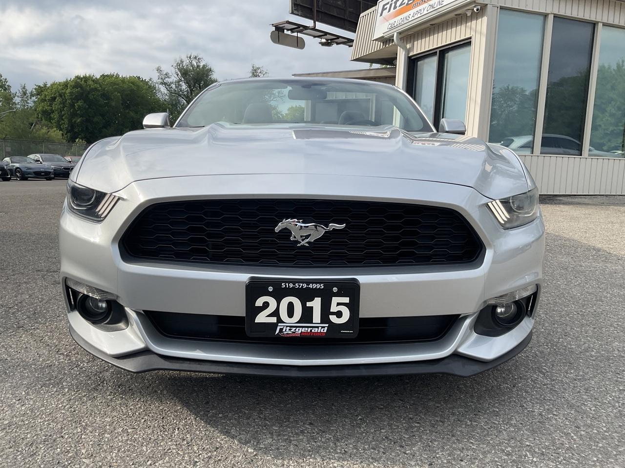 2015 Ford Mustang V6 Convertible - BACK-UP CAM! ACCIDENT FREE! LOW M Photo