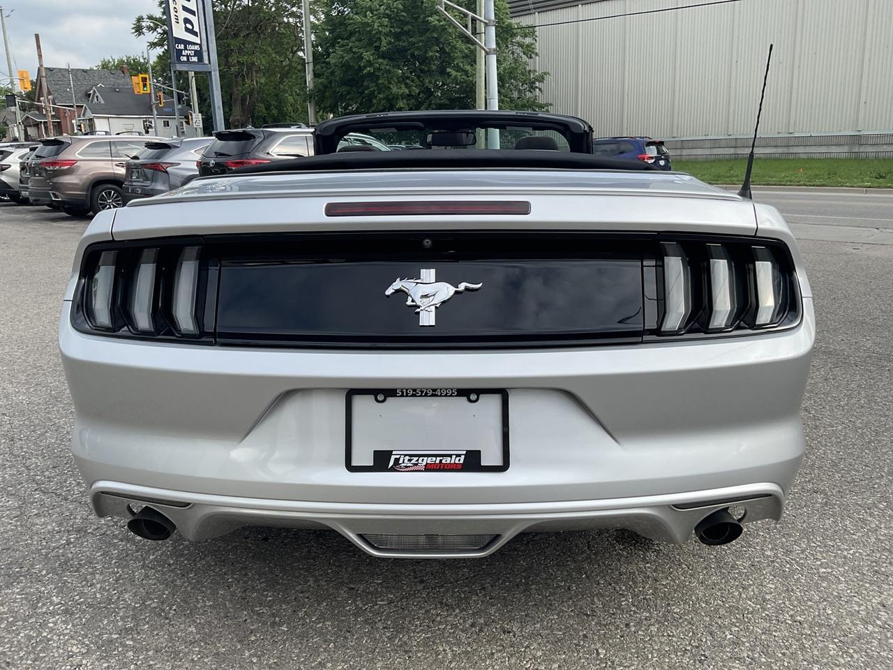 2015 Ford Mustang V6 Convertible - BACK-UP CAM! ACCIDENT FREE! LOW M Photo