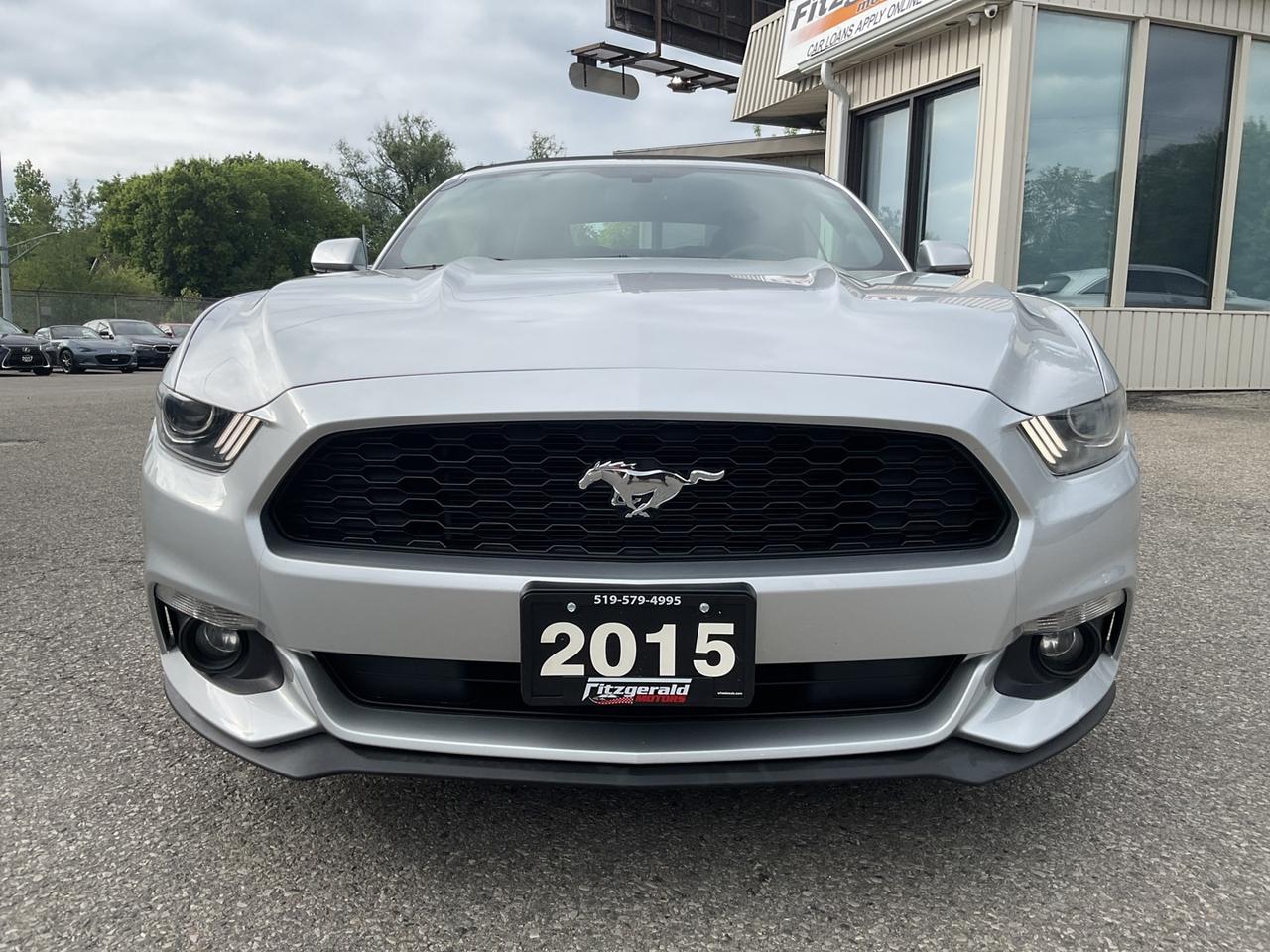 2015 Ford Mustang V6 Convertible - BACK-UP CAM! ACCIDENT FREE! LOW M Photo
