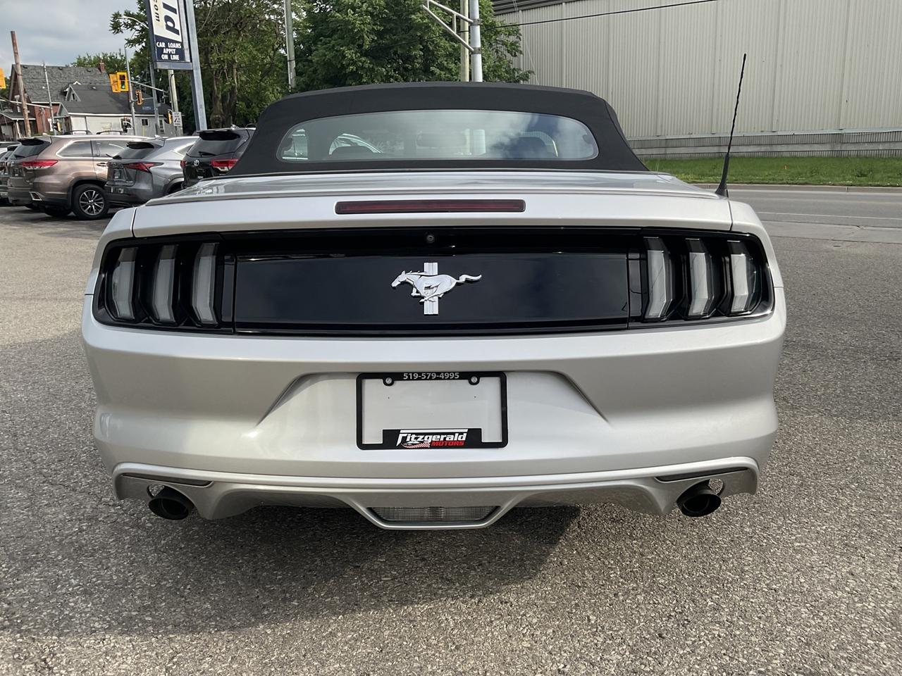 2015 Ford Mustang V6 Convertible - BACK-UP CAM! ACCIDENT FREE! LOW M Photo