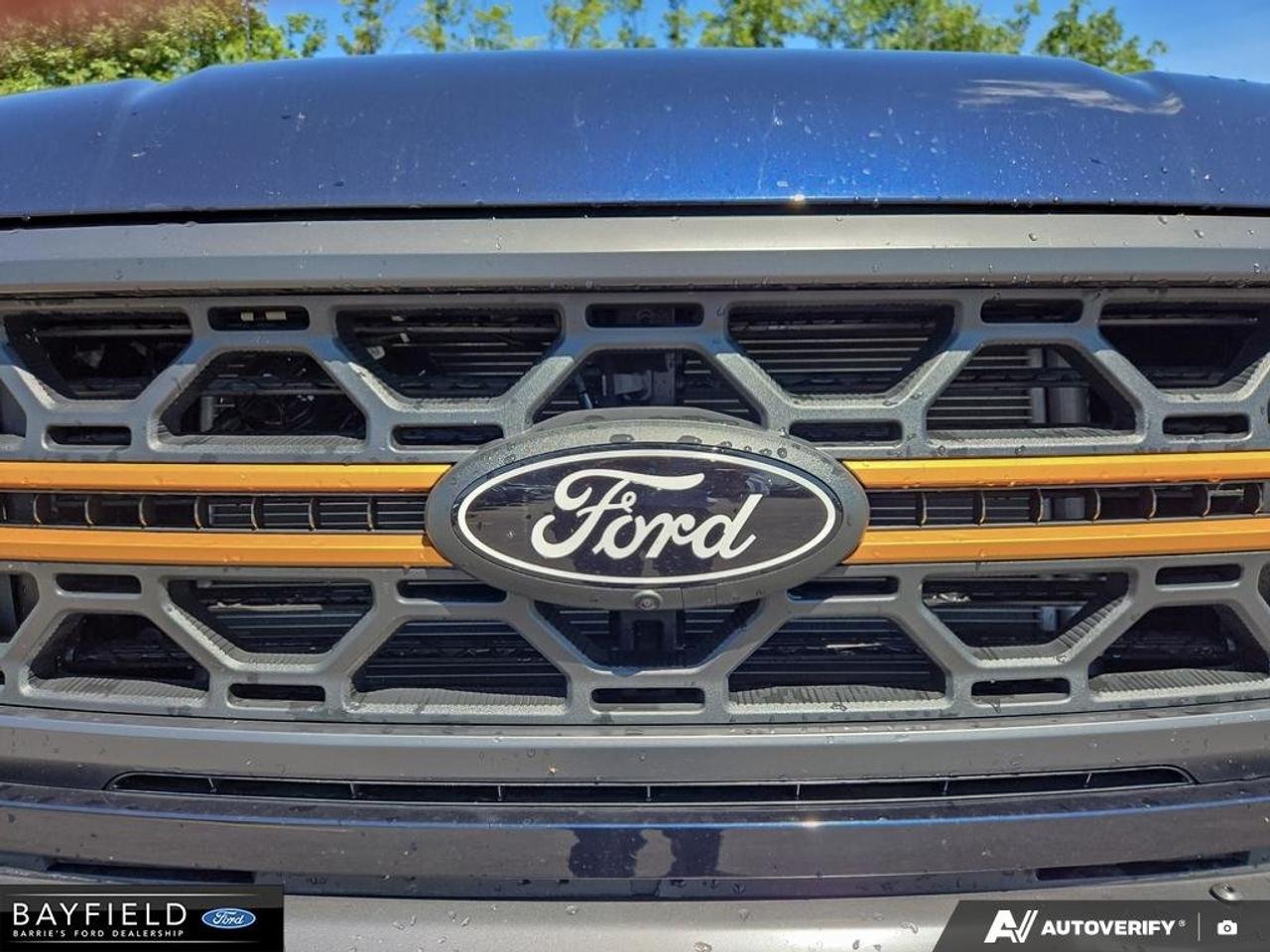 2026 Ford F-150 Tremor Photo