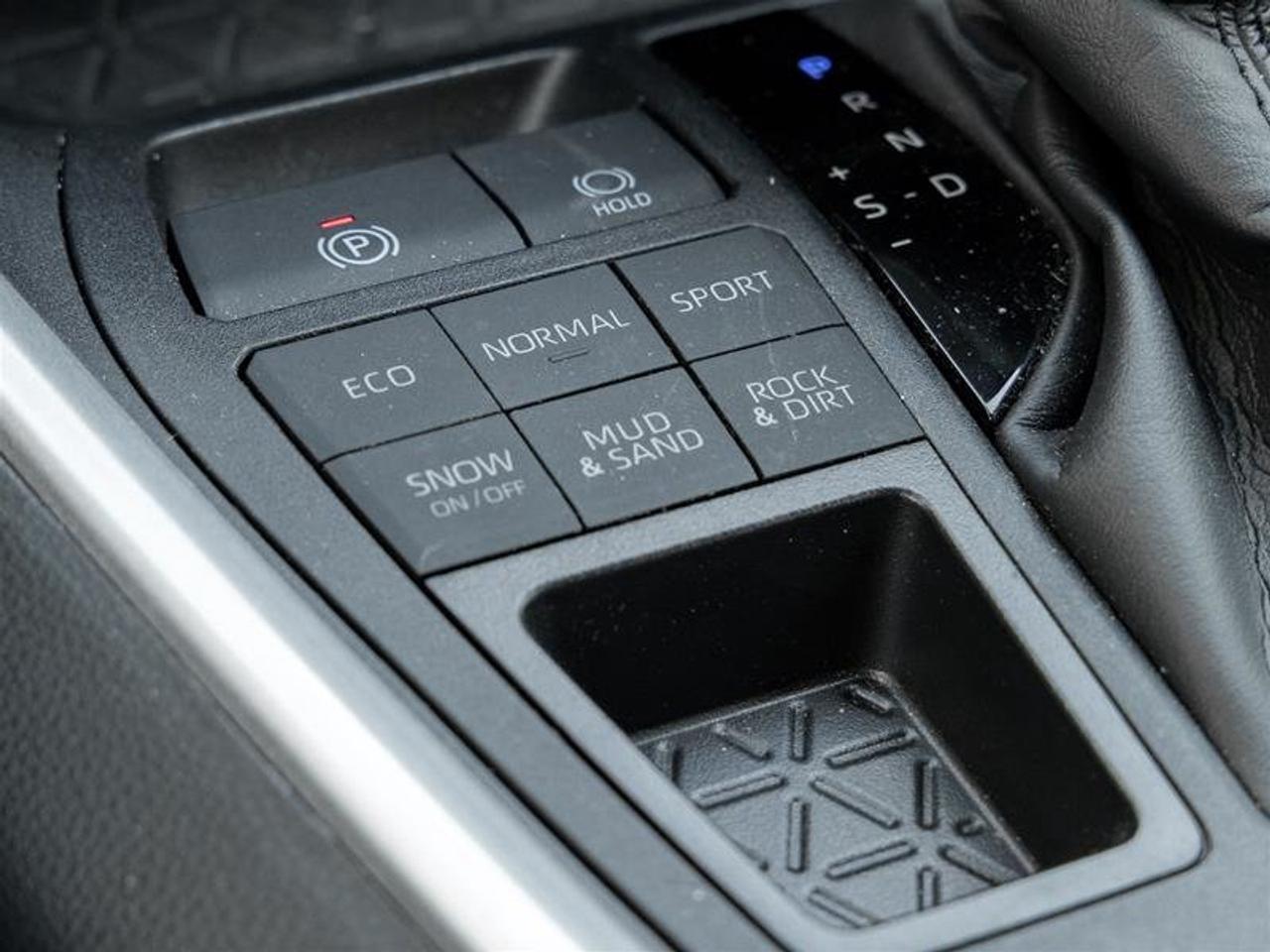 2025 Toyota RAV4 XLE AWD Sunroof | Backup Cam | Heated Seats | XLE Photo