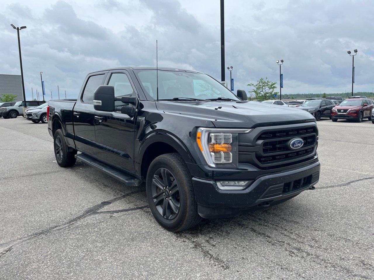 2023 Ford F-150 XLT 4WD SuperCrew 6.5' Box Photo3