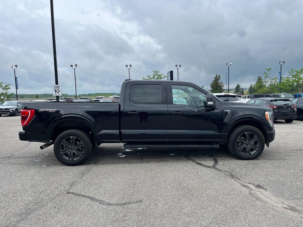 2023 Ford F-150 XLT 4WD SuperCrew 6.5' Box Photo4