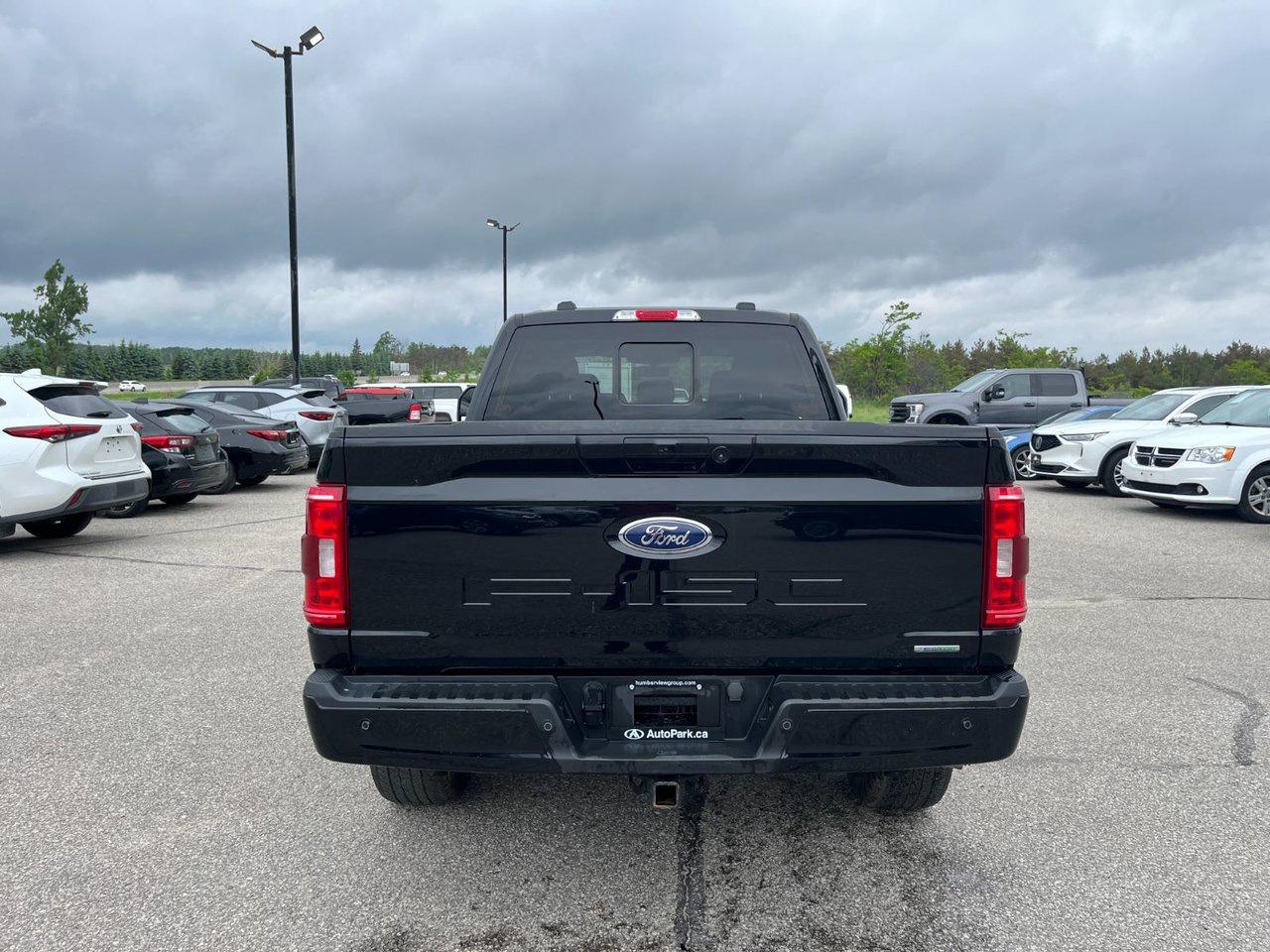 2023 Ford F-150 XLT 4WD SuperCrew 6.5' Box Photo