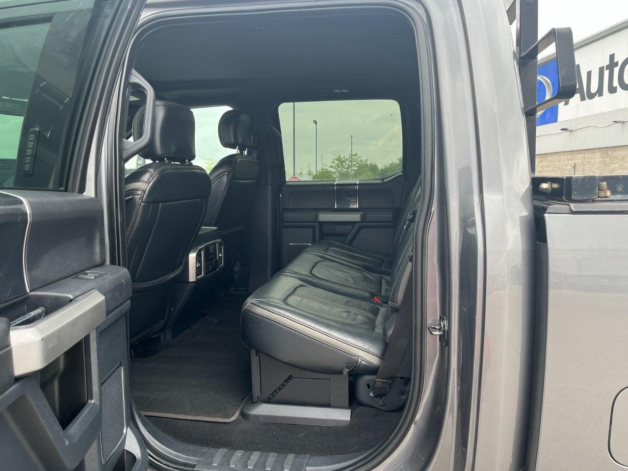 2022 Ford SUPER DUTY F-350 SRW Platinum 4WD Crew Cab 6.75' Box Photo