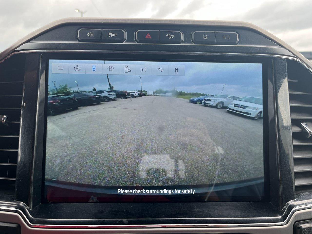 2022 Ford SUPER DUTY F-350 SRW Platinum 4WD Crew Cab 6.75' Box Photo