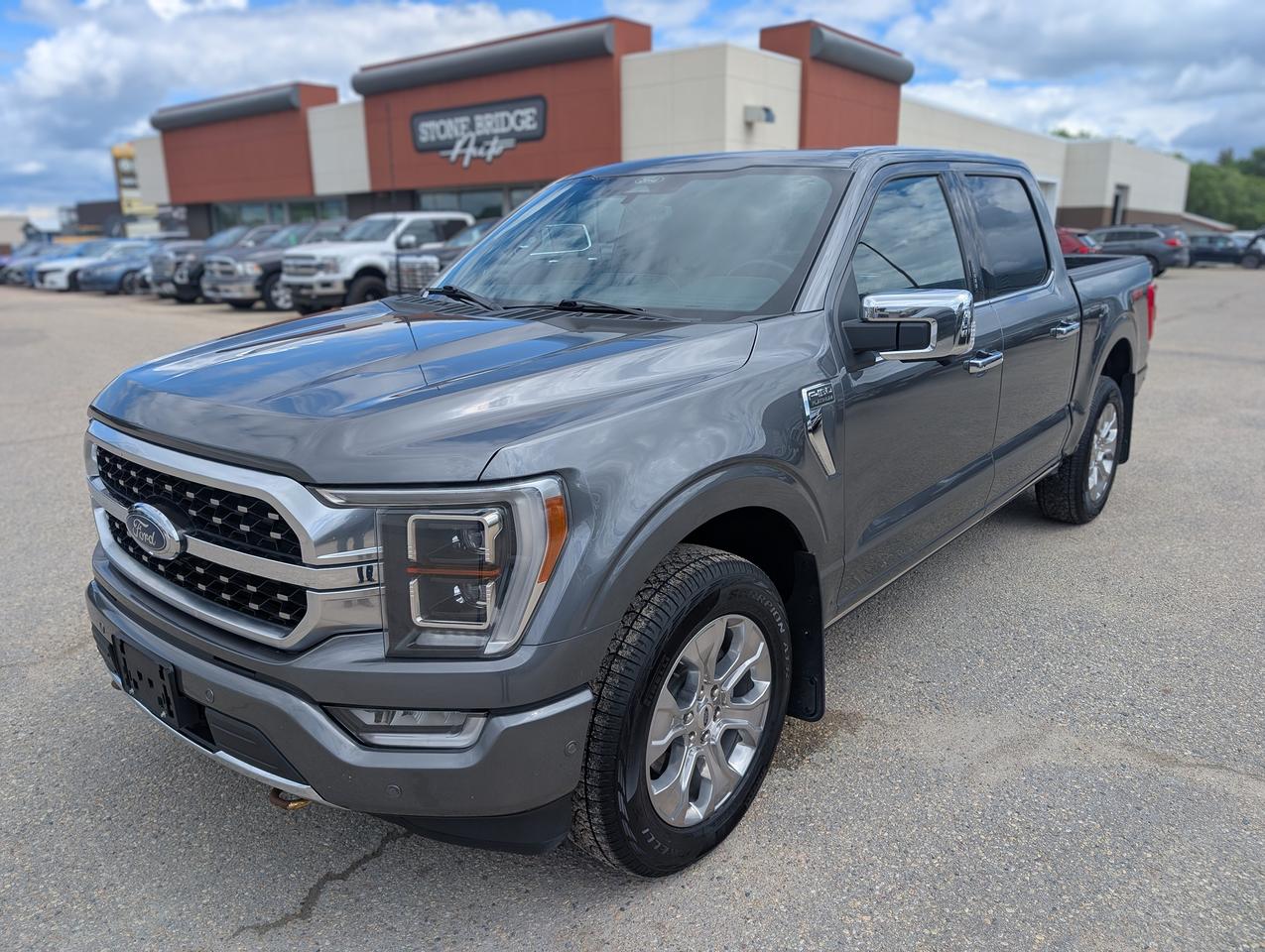 Used 2022 Ford F-150 Platinum | Running boards | Power liftgate for sale in Steinbach, MB