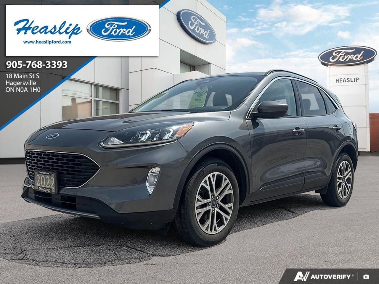2022 Ford Escape SEL Photo0