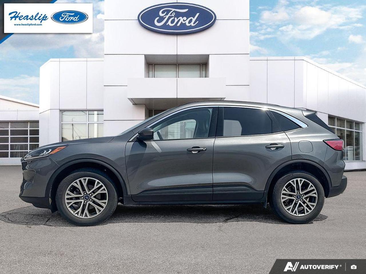 2022 Ford Escape SEL Photo2