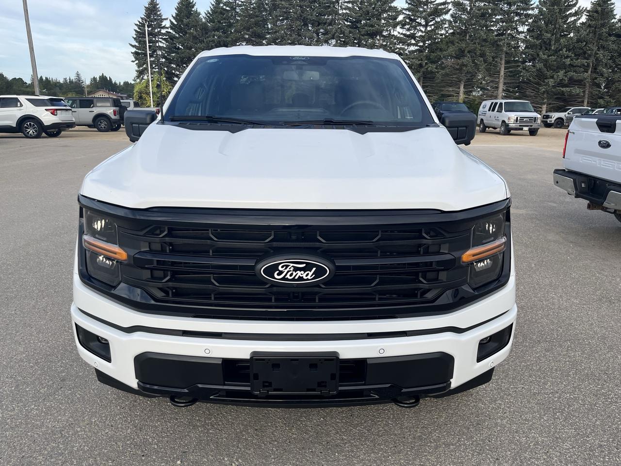 2026 Ford F-150 XLT 4WD SuperCrew 6.5' Box Photo1