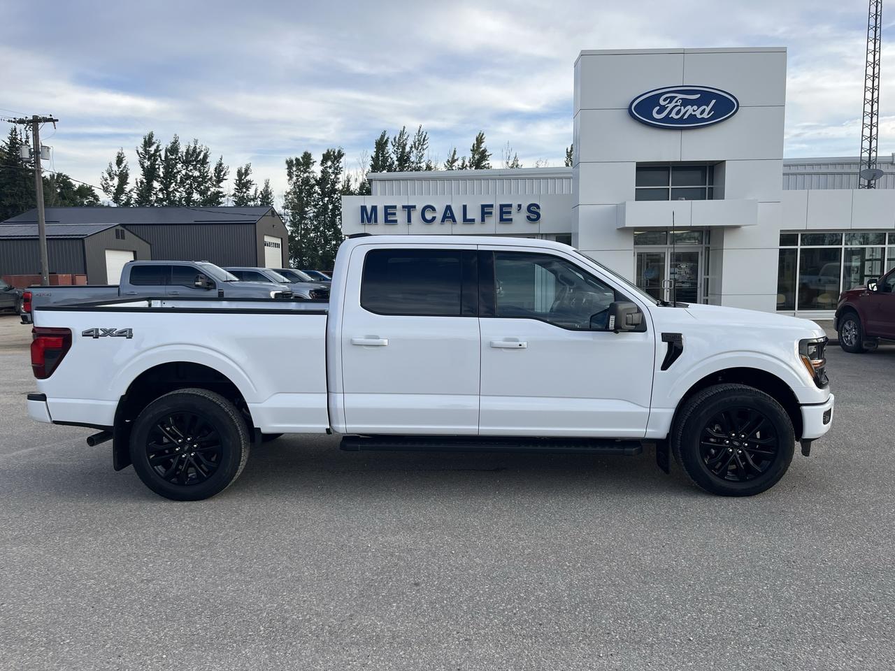 2026 Ford F-150 XLT 4WD SuperCrew 6.5' Box Photo0