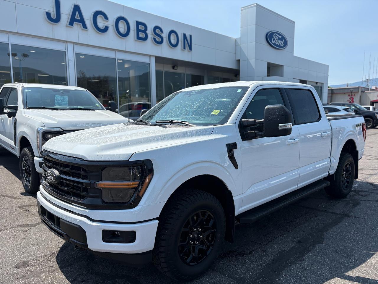 2025 Ford F-150 XLT Photo0