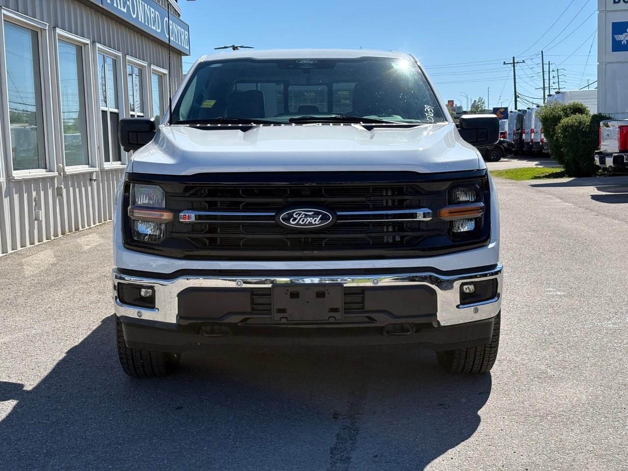 2026 Ford F-150 XLT 4WD SuperCrew 5.5' Box Photo