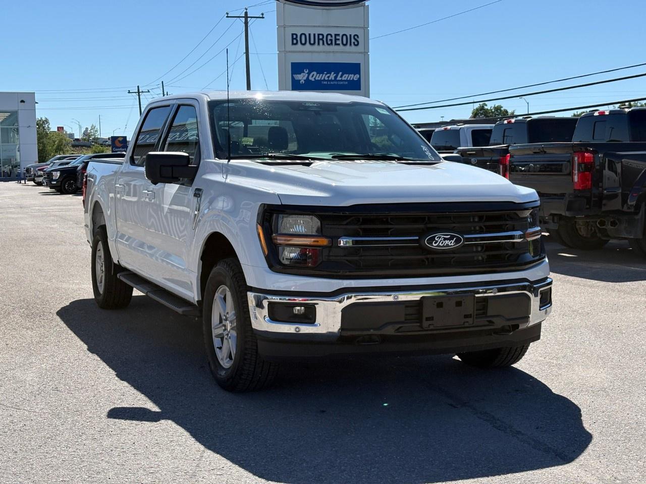 2026 Ford F-150 XLT 4WD SuperCrew 5.5' Box Photo3