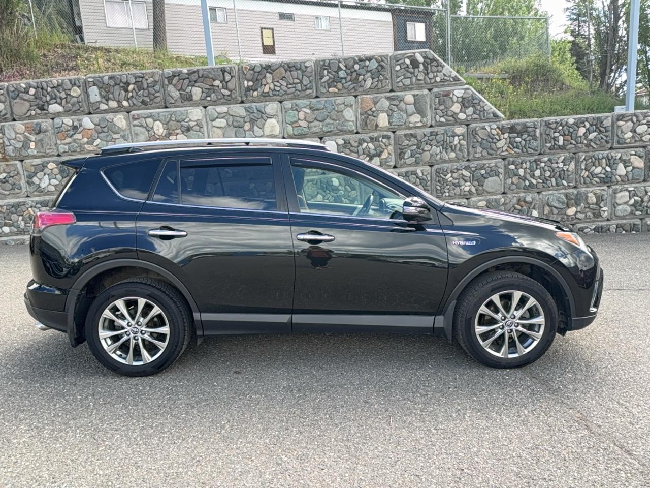 2018 Toyota RAV4 LIMITED  Photo