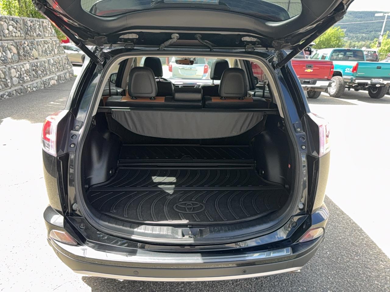 2018 Toyota RAV4 LIMITED  Photo