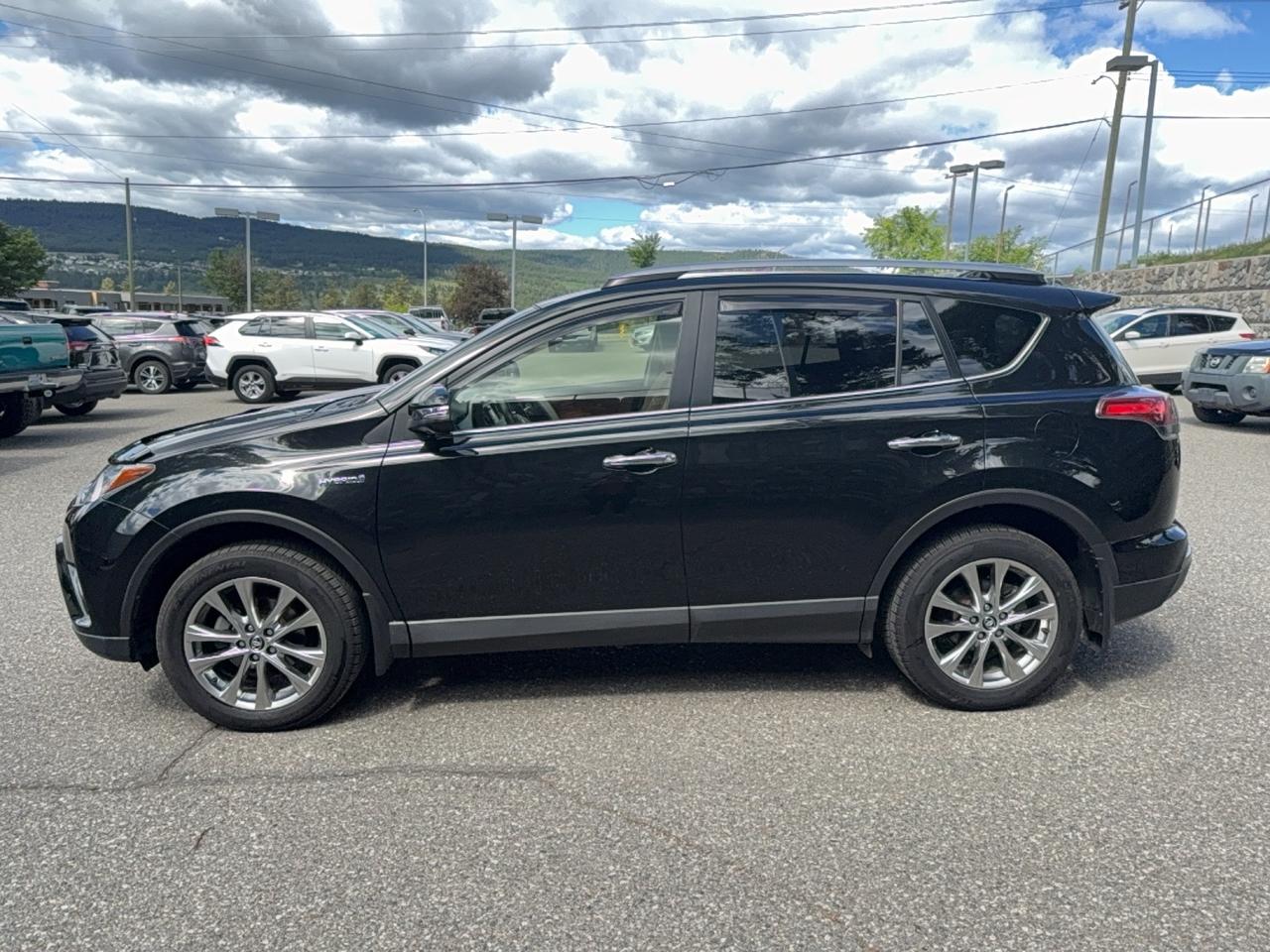 2018 Toyota RAV4 LIMITED  Photo3