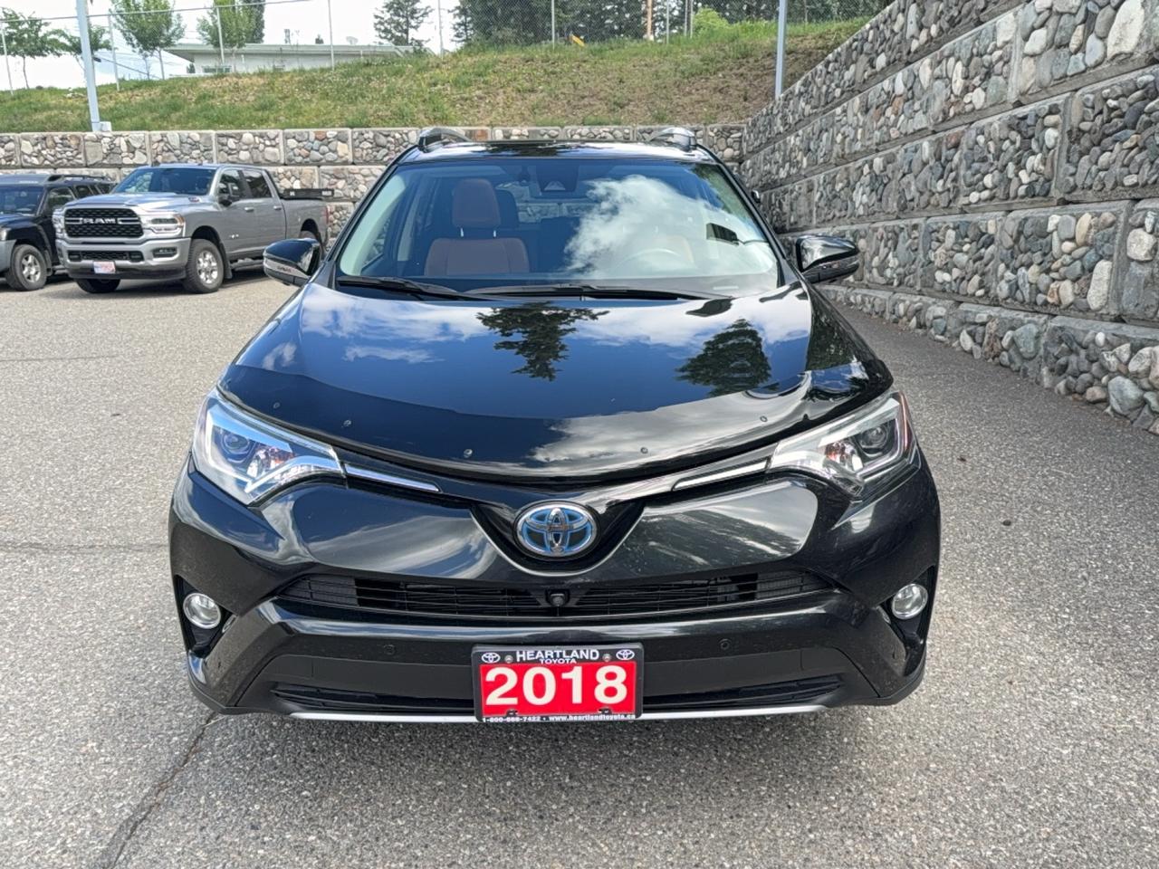 2018 Toyota RAV4 LIMITED  Photo