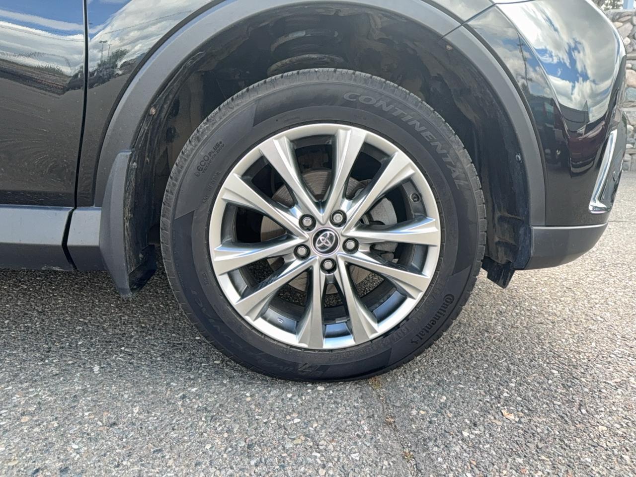 2018 Toyota RAV4 LIMITED  Photo