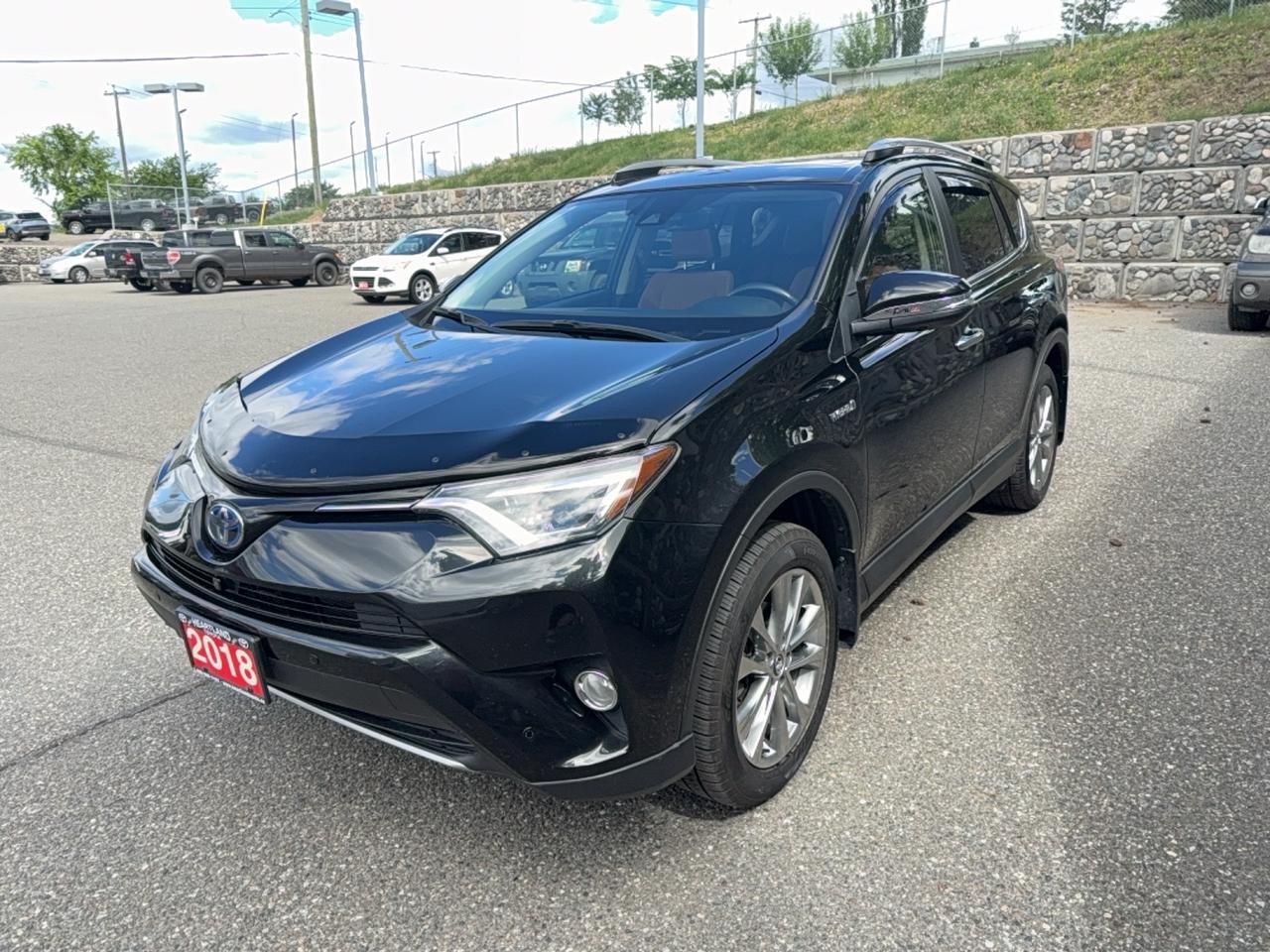 2018 Toyota RAV4 LIMITED  Photo