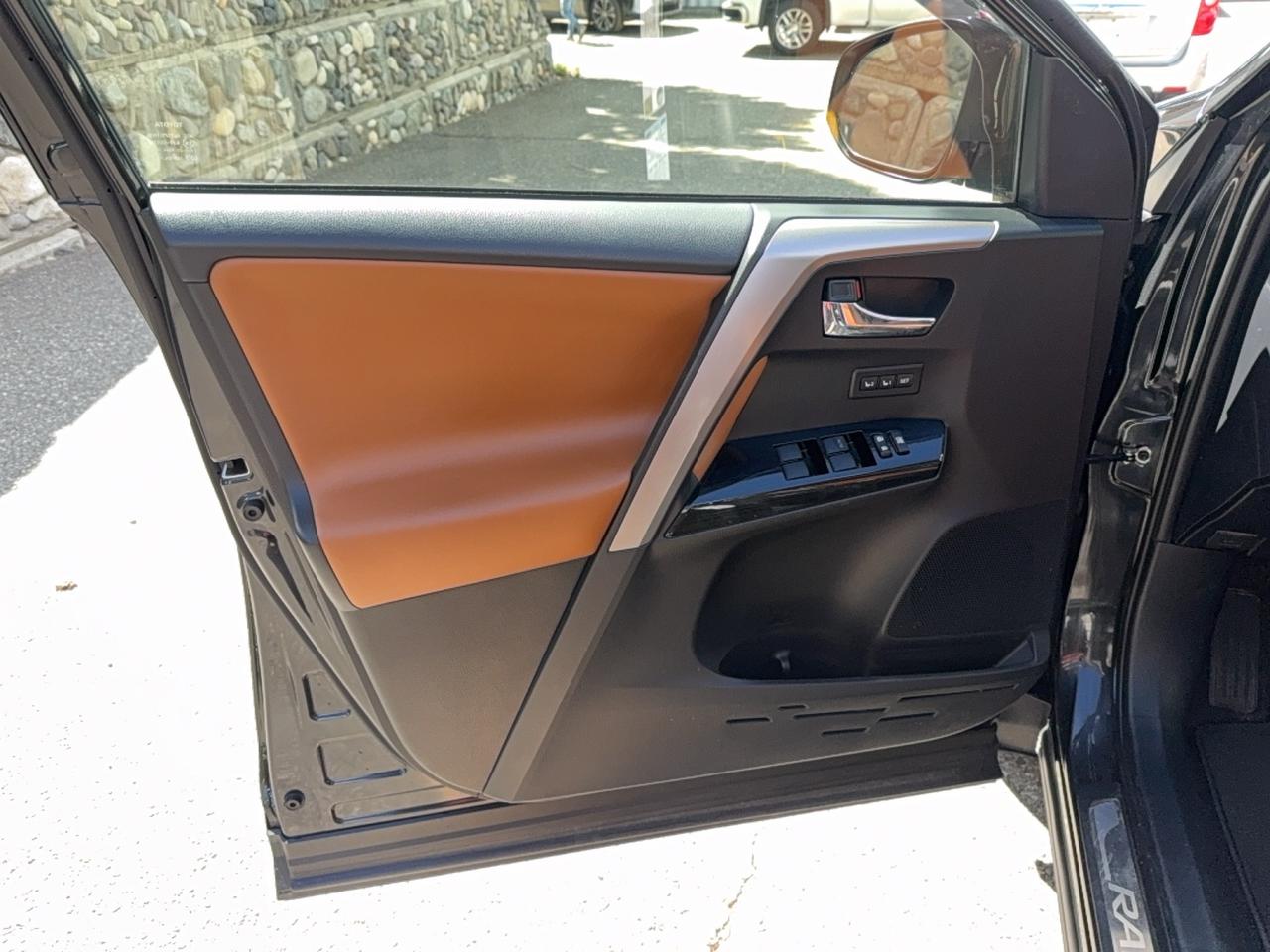 2018 Toyota RAV4 LIMITED  Photo