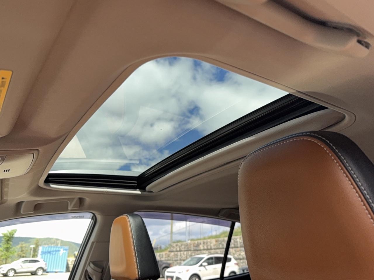 2018 Toyota RAV4 LIMITED  Photo