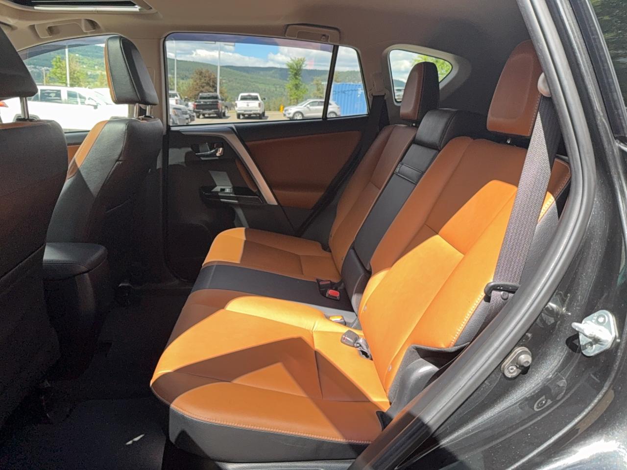 2018 Toyota RAV4 LIMITED  Photo