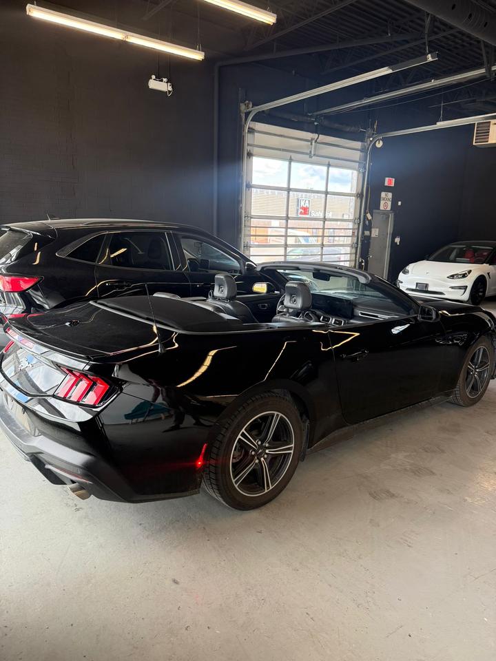 2025 Ford Mustang EcoBoost Premium | CLEAN CAR | CLEAN TITLE | Photo