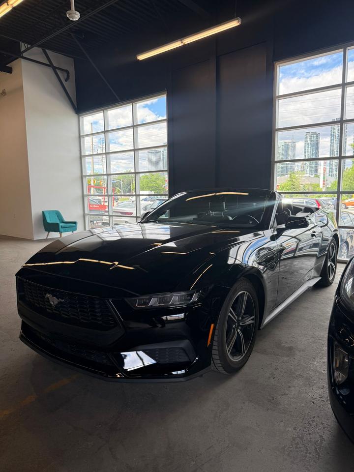 2025 Ford Mustang EcoBoost Premium | CLEAN CAR | CLEAN TITLE | Photo0