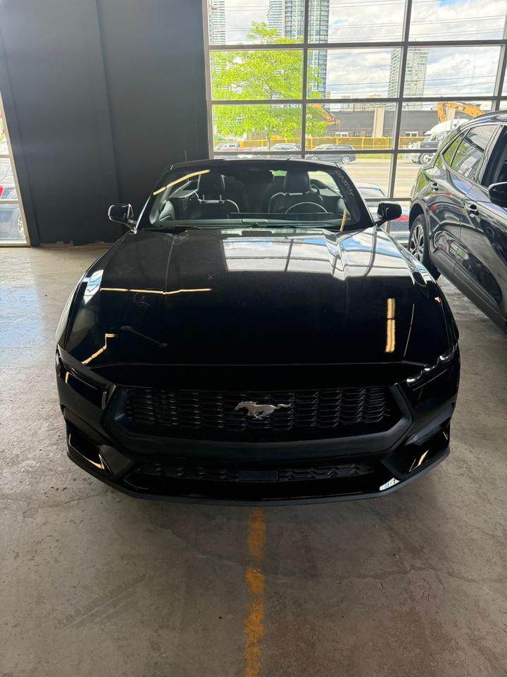 2025 Ford Mustang EcoBoost Premium | CLEAN CAR | CLEAN TITLE | Photo