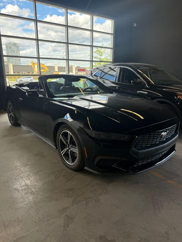2025 Ford Mustang EcoBoost Premium | CLEAN CAR | CLEAN TITLE | Photo2