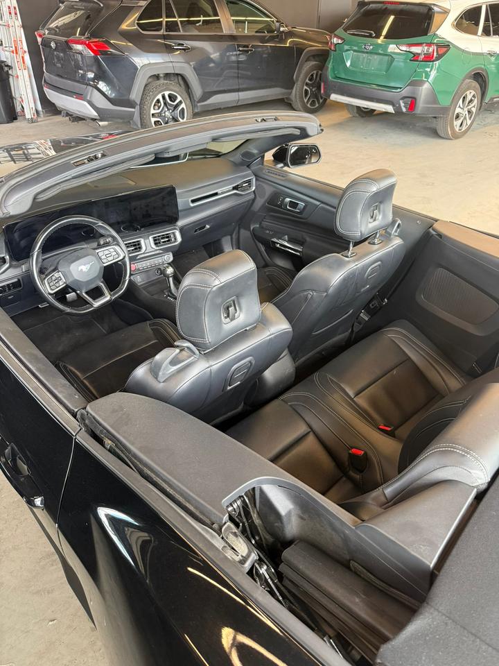 2025 Ford Mustang EcoBoost Premium | CLEAN CAR | CLEAN TITLE | Photo